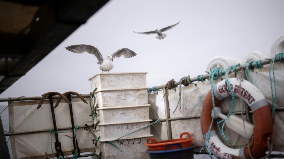 Hilfen für kriselnde Ostsee-Fischerei - weniger Hering auch für Nordsee-Fischer